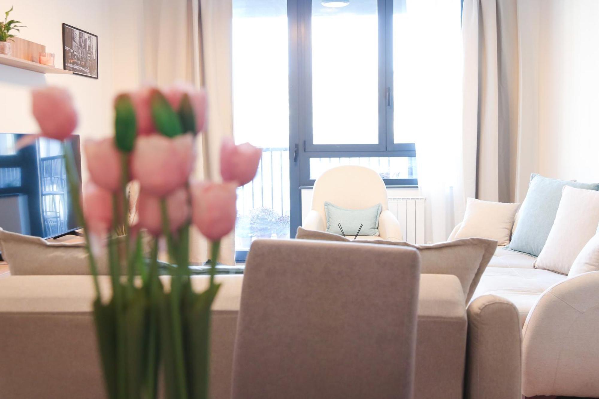 Waterfront Collection Belgrad
